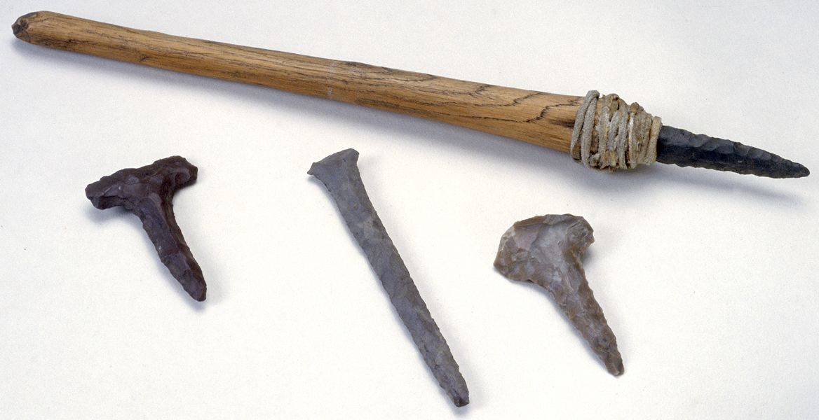 perforators